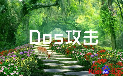 Dos攻击