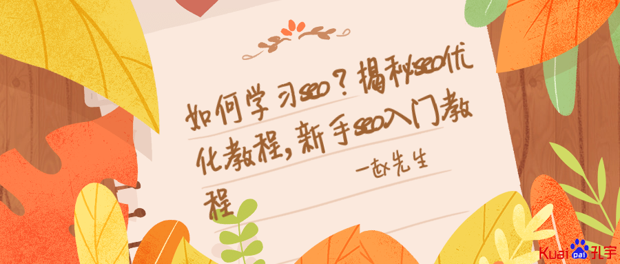 如何学习seo？揭秘seo优化教程，新手seo入门教程